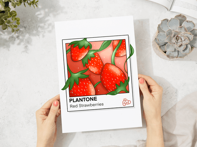 A5 Red Strawberries Polaroid Art Print